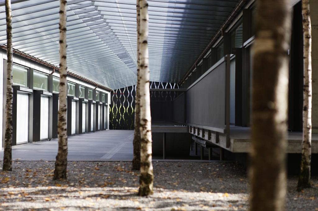 Greulich Design & Boutique Hotel Zürich Exteriör bild