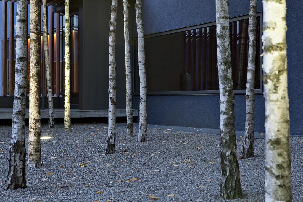 Greulich Design & Boutique Hotel Zürich Exteriör bild